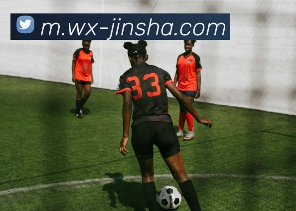 金沙娱乐城APP 封面图